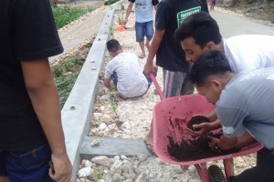 Menanam Bunga disekitar Jalan bersama Karang Taruna
