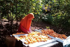 Membantu Orang Tua