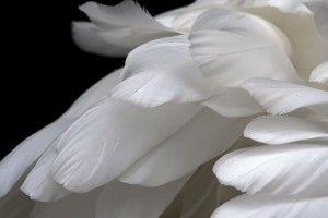 Materi Khutbah Jum'at: Penciptaan Malaikat yang Agung